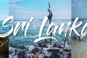 『斯里兰卡』3.4-11 神秘国度·自然探索，尼甘布+康提+狮子岩+Safari+加勒古堡，打卡《千与千寻》同款海