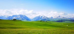 『大美新疆·伊犁深度游』喀拉峻全景穿越、赛里木湖、独库公路+伊昭公路、夏塔古道，9日王牌路线