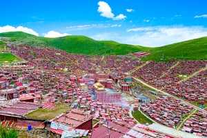 『暑期甘南』6月/7月/8月·周周发团  甘南，色达，扎尕那，黄河九曲第一湾，若尔盖花海，9日藏地之旅