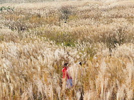 「浙西天池」11.13 漫步浙西天池，秋季正当鲜，最适合远足的时候~