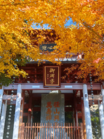 「径山祈福」12.21 唐宋遗风径山寺，徒步径山古道，品径山素斋，走一次圆满小环线~