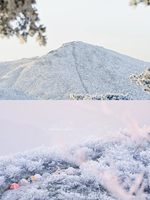 「大降温来袭」 桐杭岗轻徒步，登天目七尖之桐杭岗，赏冰川树挂×林海雪原