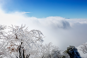 「云顶雾凇」登顶杏梅尖赏龙门飞瀑，赏雾凇奇景！免费借用冰爪