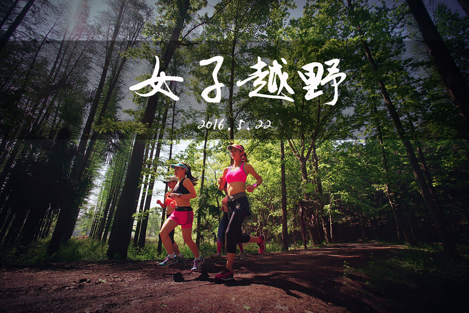 447021362598817506标题