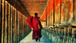 香格里拉国际超级马拉松