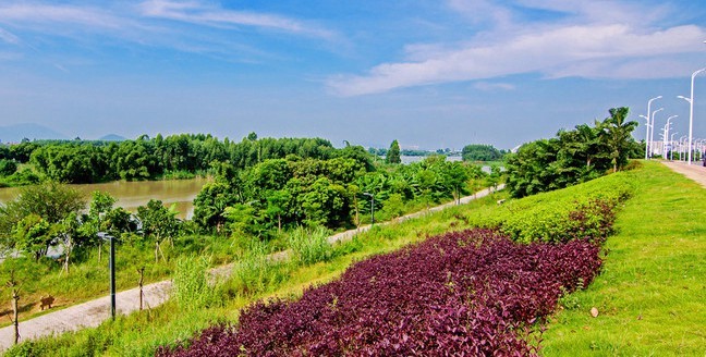 跑遍漳州系列马拉松--龙文区马拉松赛