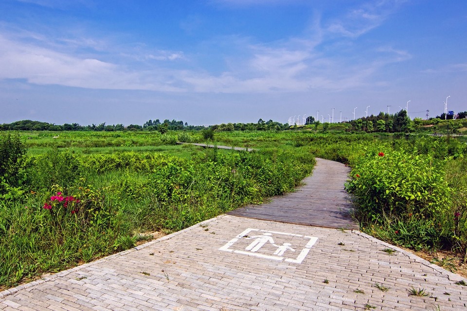 跑遍漳州系列马拉松--龙文区马拉松赛