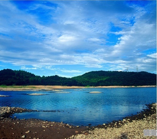 镇海九龙湖国际半程马拉松赛