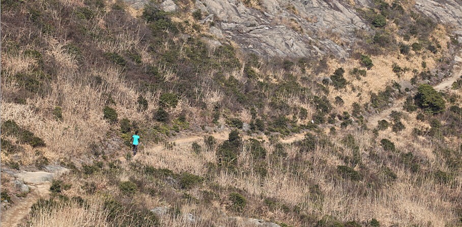 2015“学府印象杯”大罗山国际越野挑战赛
