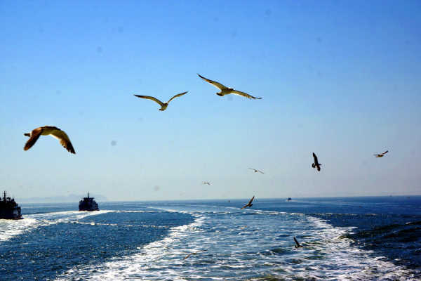 大连·长山群岛