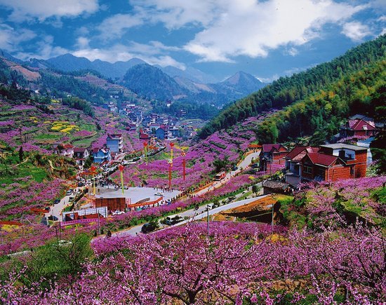 湖南省常德柳叶湖