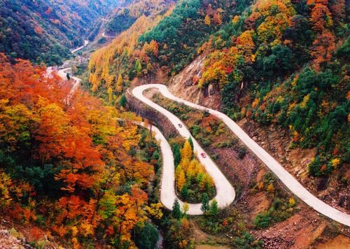 八中国际马拉松