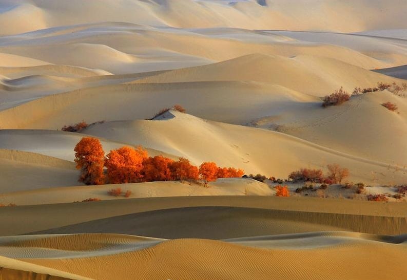 敦煌国际马拉松赛