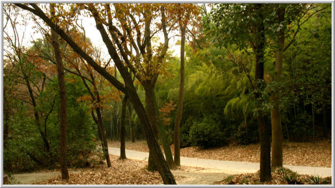 汇跑越野·鼋秋赛