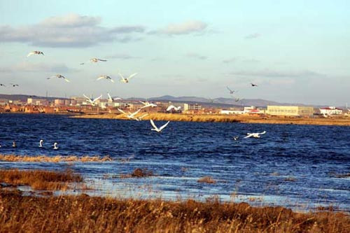 汇跑越野草原赛·张家口康保