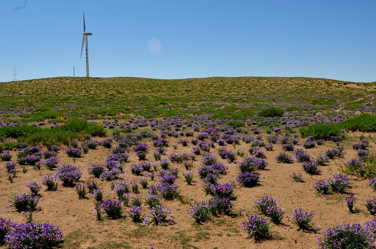 汇跑越野草原赛·张家口康保