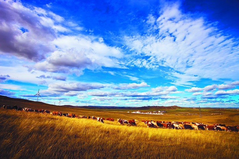 汇跑越野草原赛·张家口康保