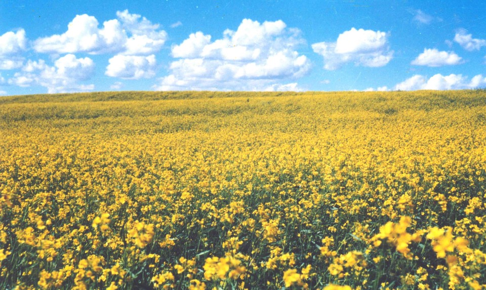 汇跑越野草原赛·张家口康保