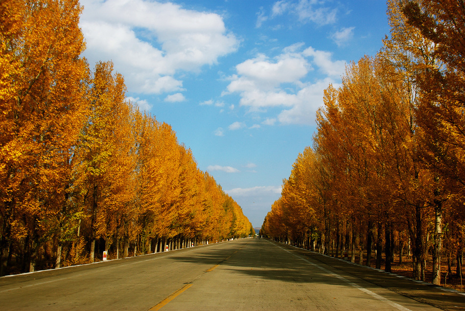 汇跑越野草原赛·张家口康保