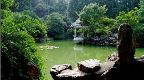 九峰揽胜-柴古唐斯越野赛