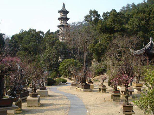 九峰揽胜-柴古唐斯越野赛