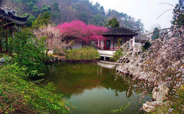 九峰揽胜-柴古唐斯越野赛