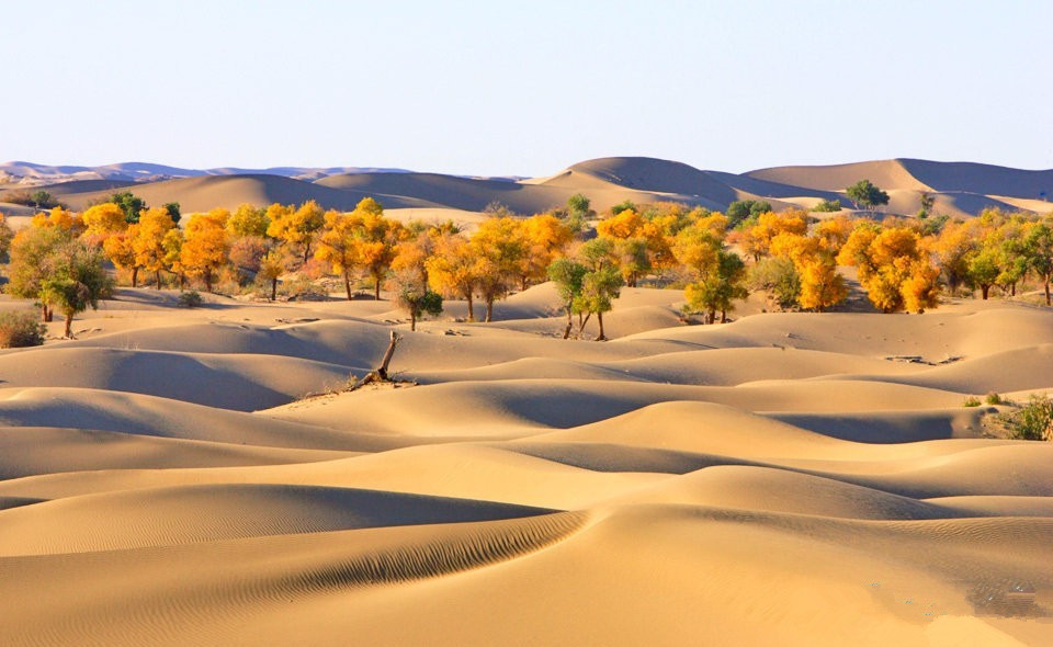 酒泉国际戈壁超级马拉松赛