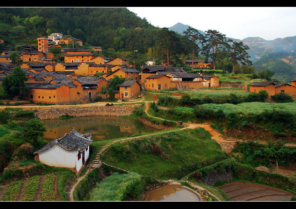 丽水半程马拉松赛