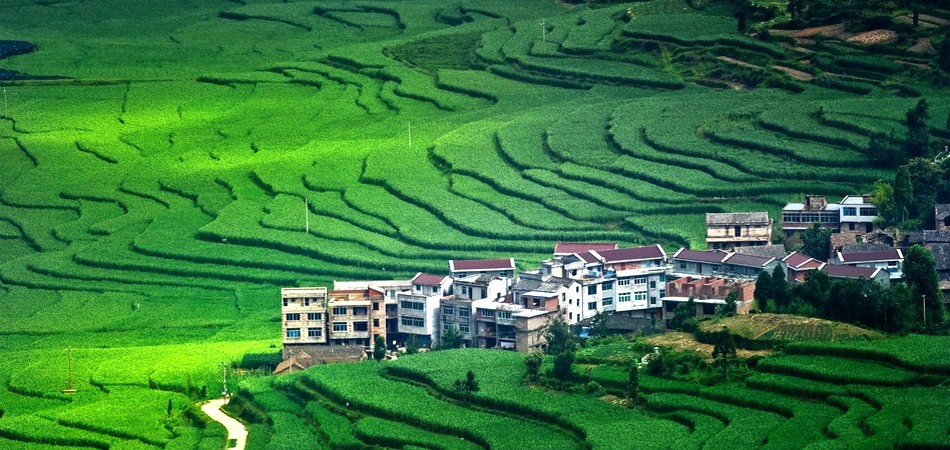 丽水半程马拉松赛