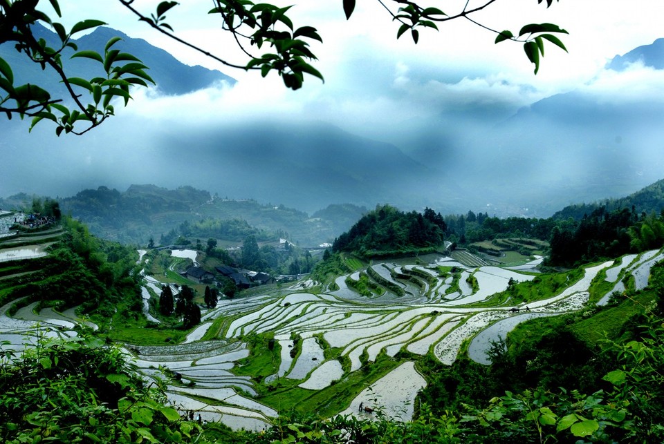 丽水半程马拉松赛