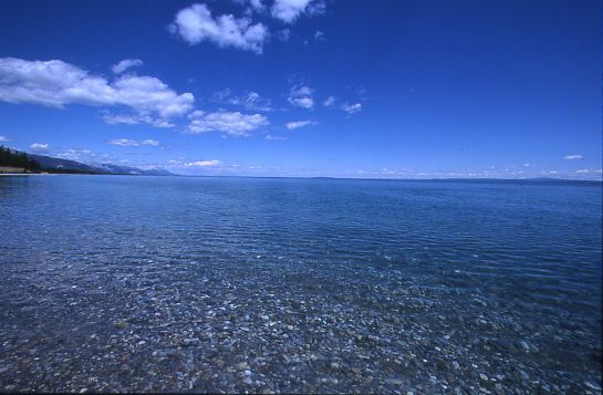 蒙古一日马拉松