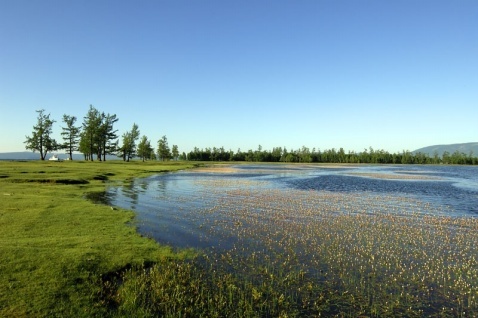 蒙古一日马拉松