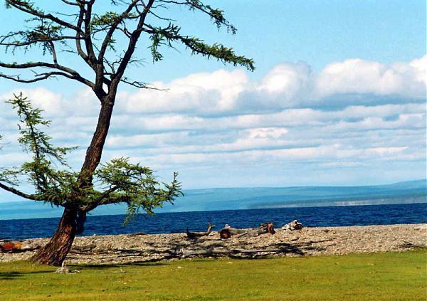 蒙古一日马拉松