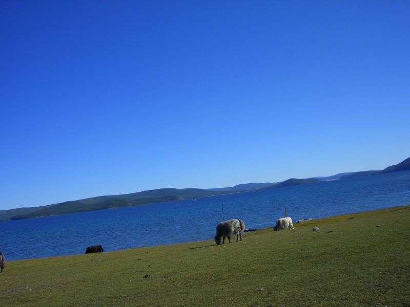 蒙古一日马拉松