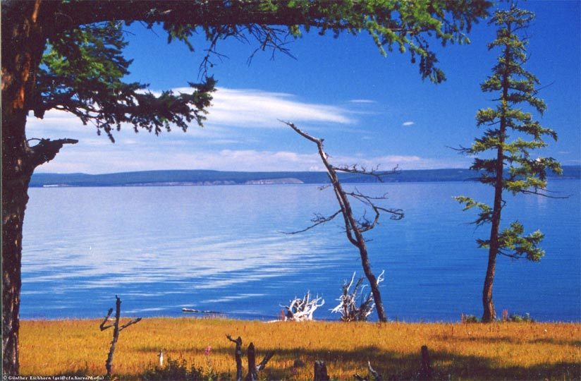 蒙古一日马拉松