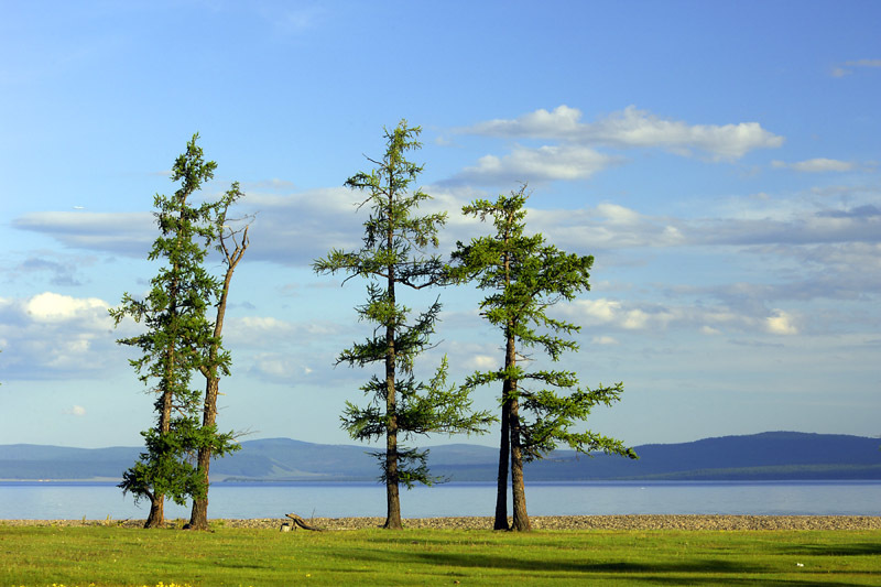 蒙古一日马拉松
