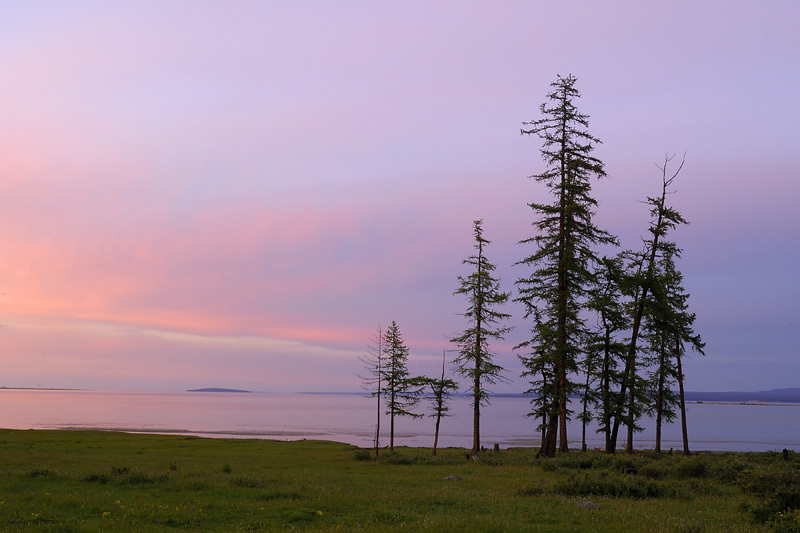 蒙古一日马拉松