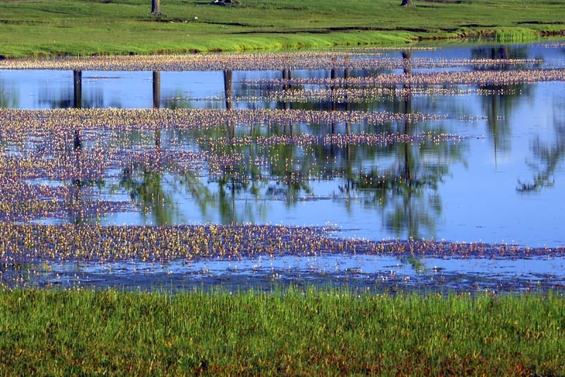 蒙古一日马拉松