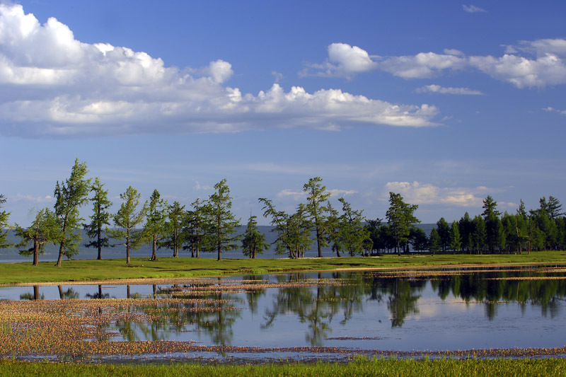蒙古一日马拉松