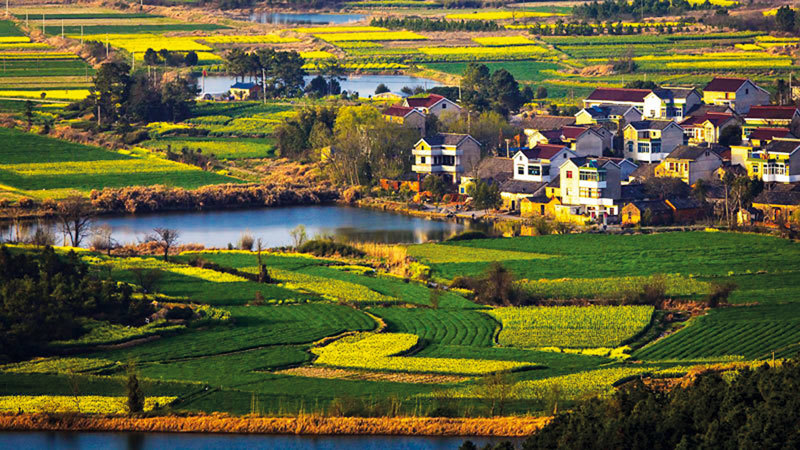 南京高淳国际马拉松赛