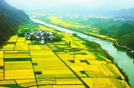 南京高淳国际马拉松赛