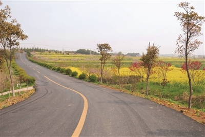 南京高淳国际马拉松赛