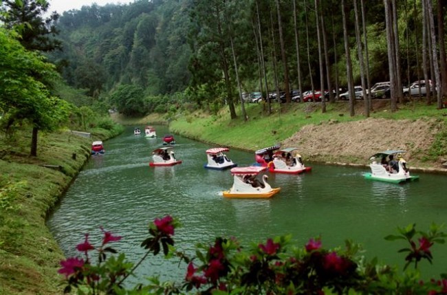 杉林溪森林马拉松