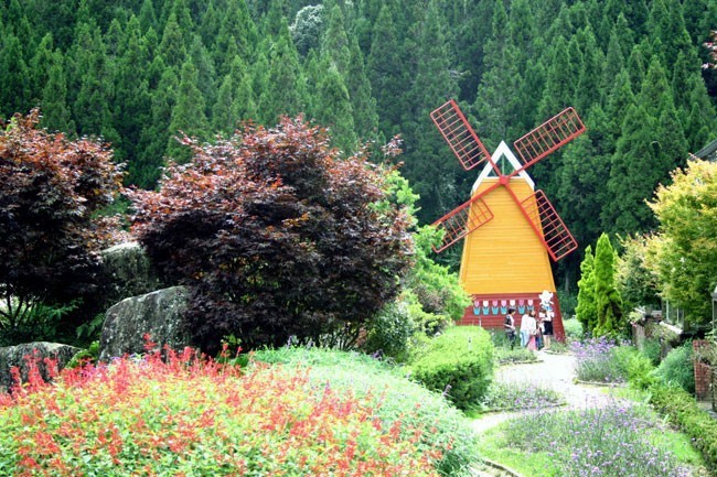 杉林溪森林马拉松