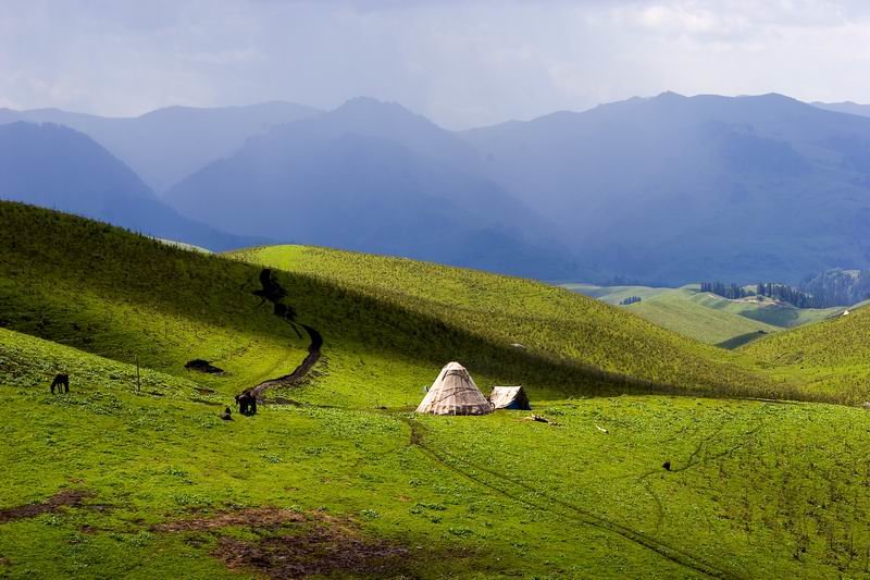 丝绸之路国际马拉松赛-伊犁唐布拉赛段