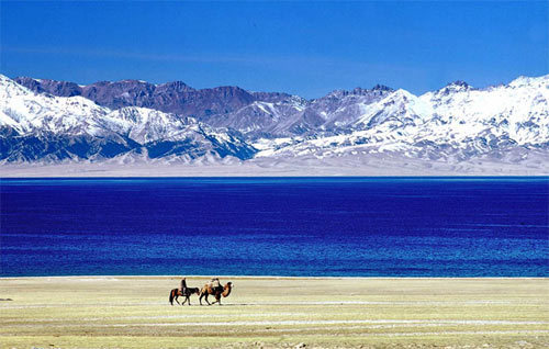 丝绸之路国际马拉松赛-伊犁唐布拉赛段