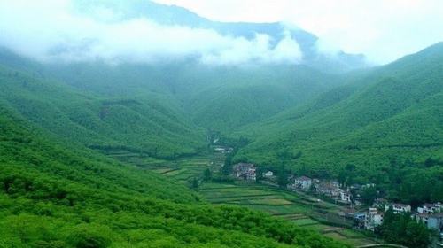 “白茶杯”2015年浙江省美丽乡村山地跑（马拉松）（安吉溪龙站)