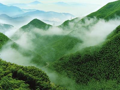 “白茶杯”2015年浙江省美丽乡村山地跑（马拉松）（安吉溪龙站)