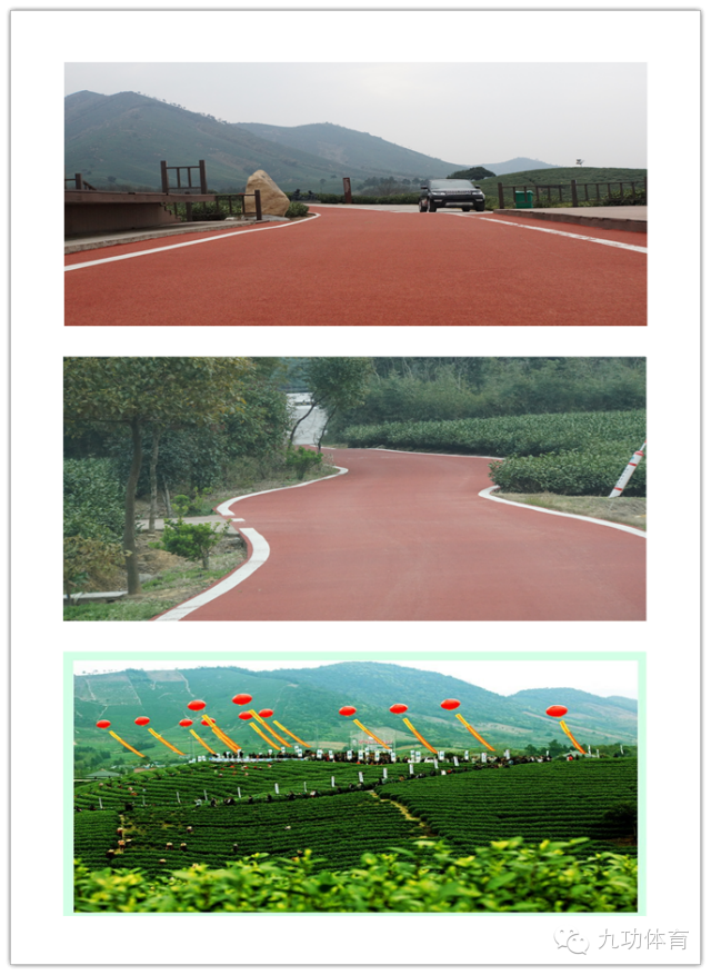 “白茶杯”2015年浙江省美丽乡村山地跑（马拉松）（安吉溪龙站)