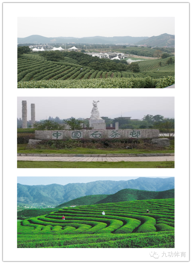 “白茶杯”2015年浙江省美丽乡村山地跑（马拉松）（安吉溪龙站)